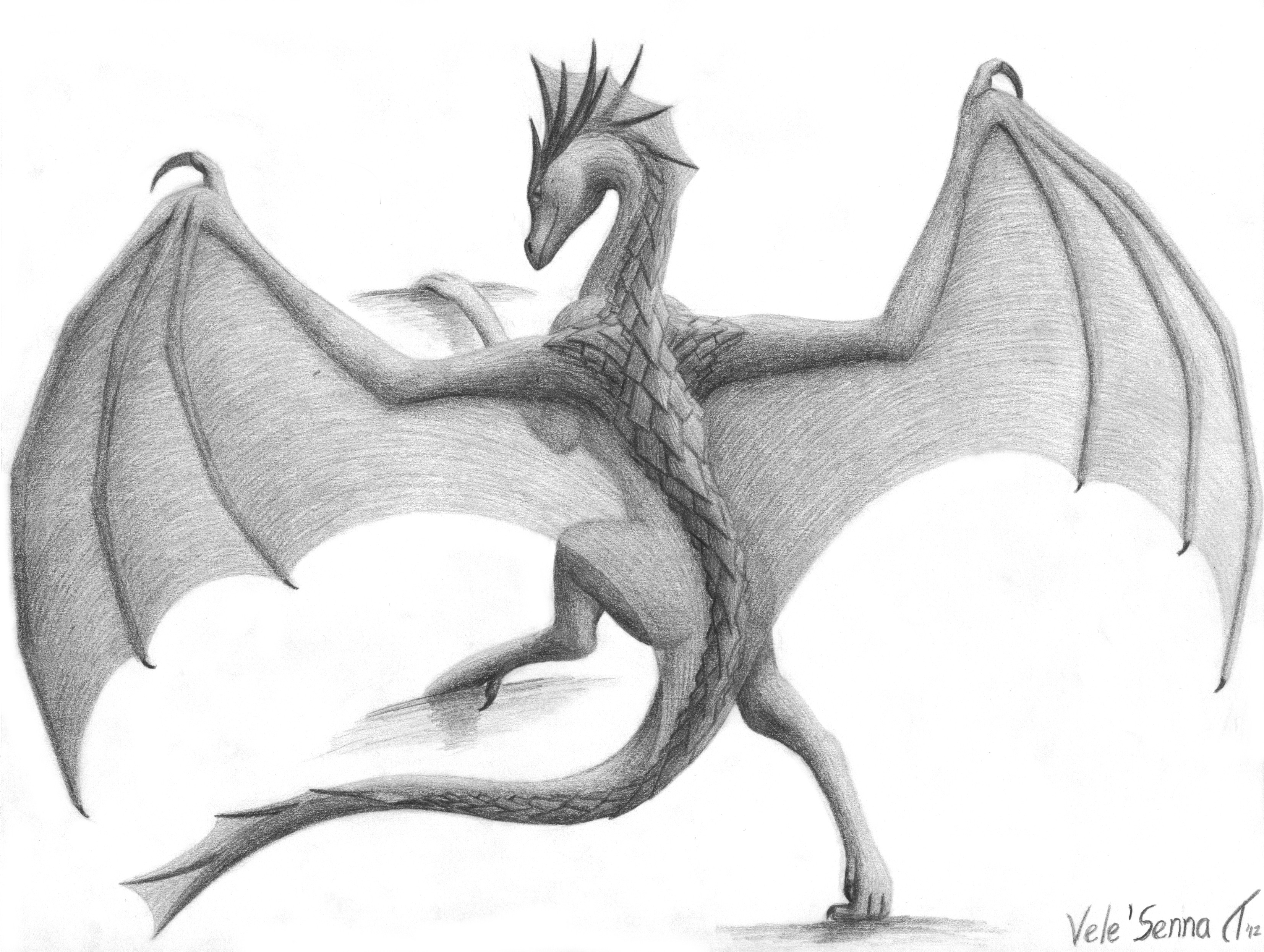 Крылья дракона для срисовки