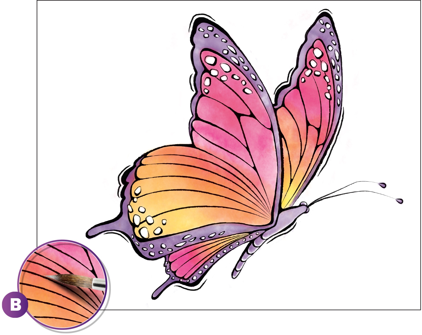 Нарисовать бабочку в цвете