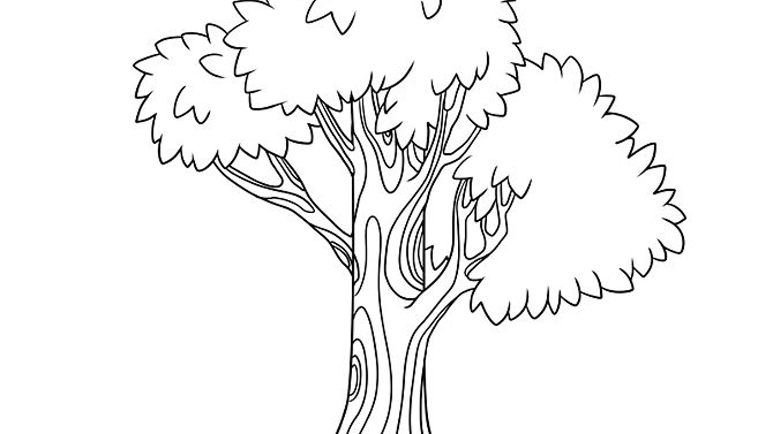 Дерево рисунок карандашом для детей