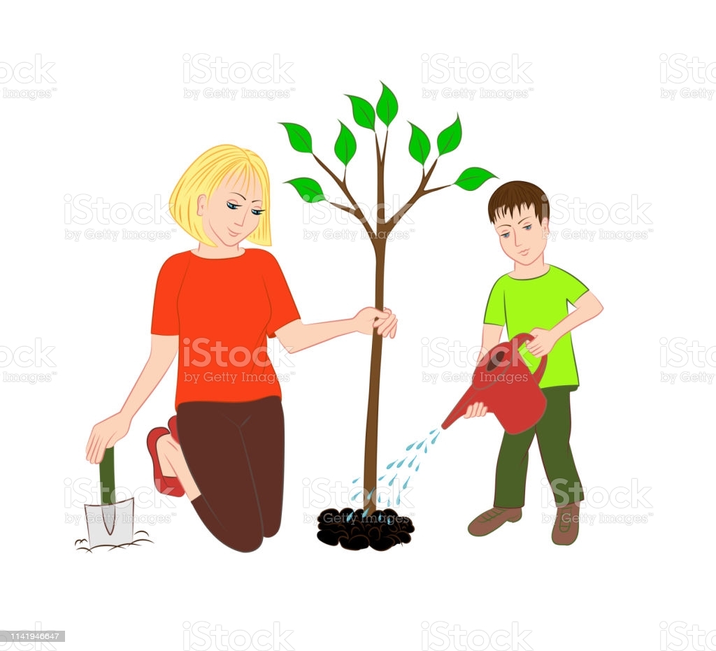 Семья садит дерево