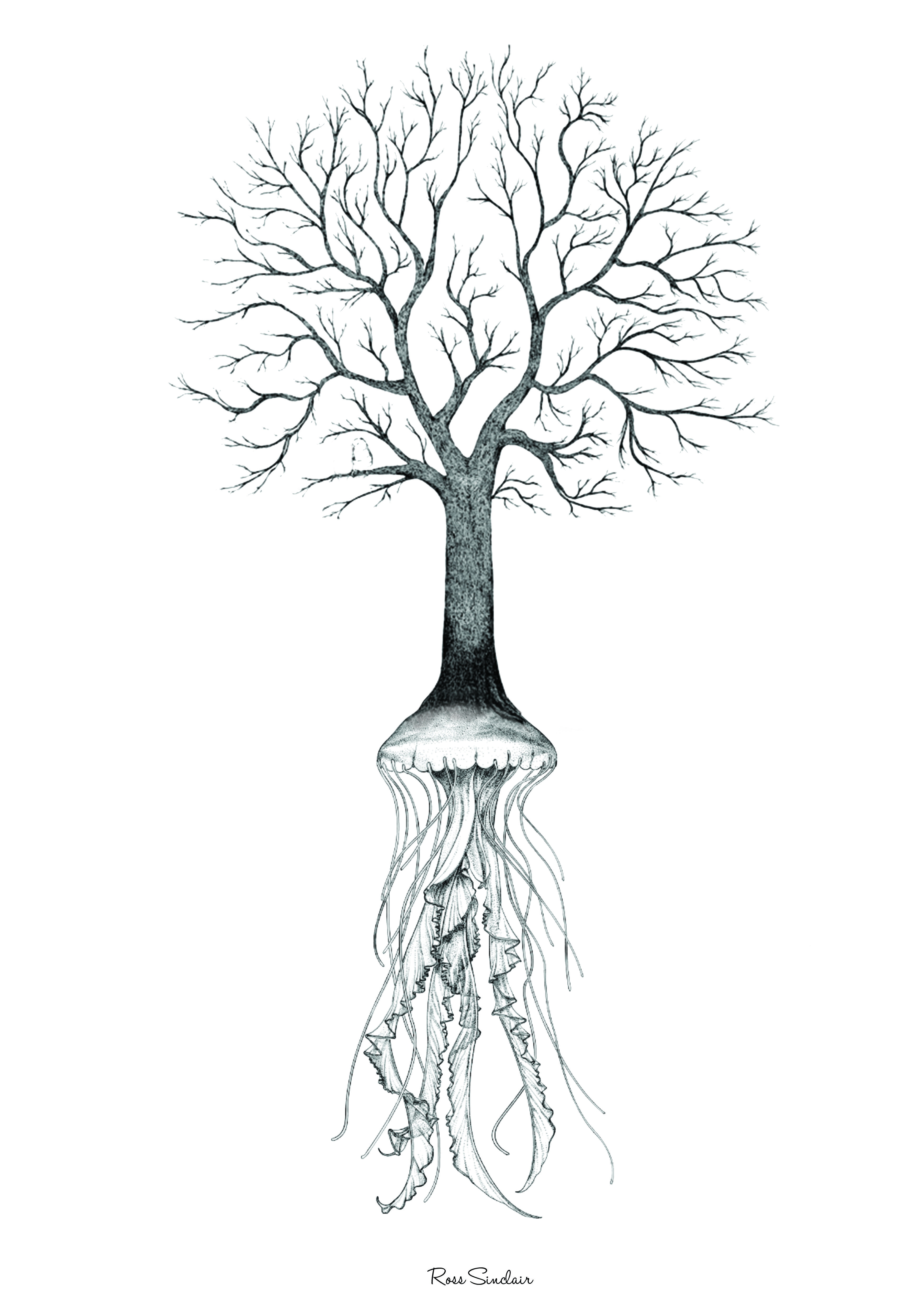 Сухое дерево рисунок