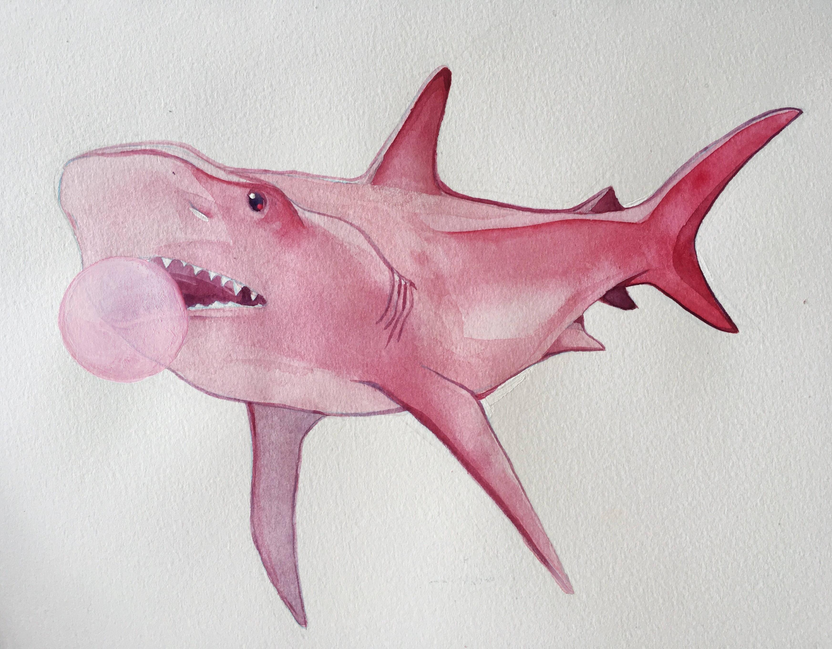 Розовая акула