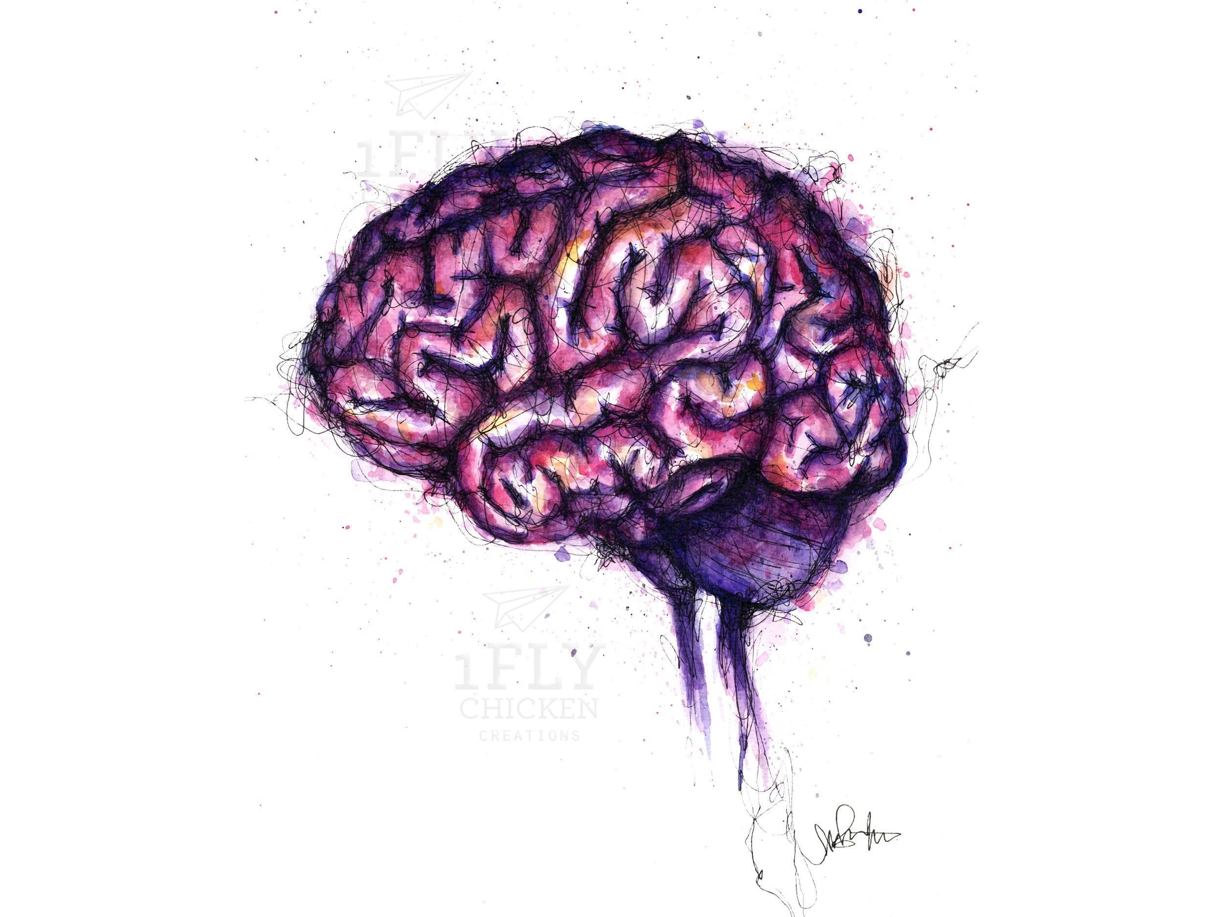 Человеческий мозг эскиз
