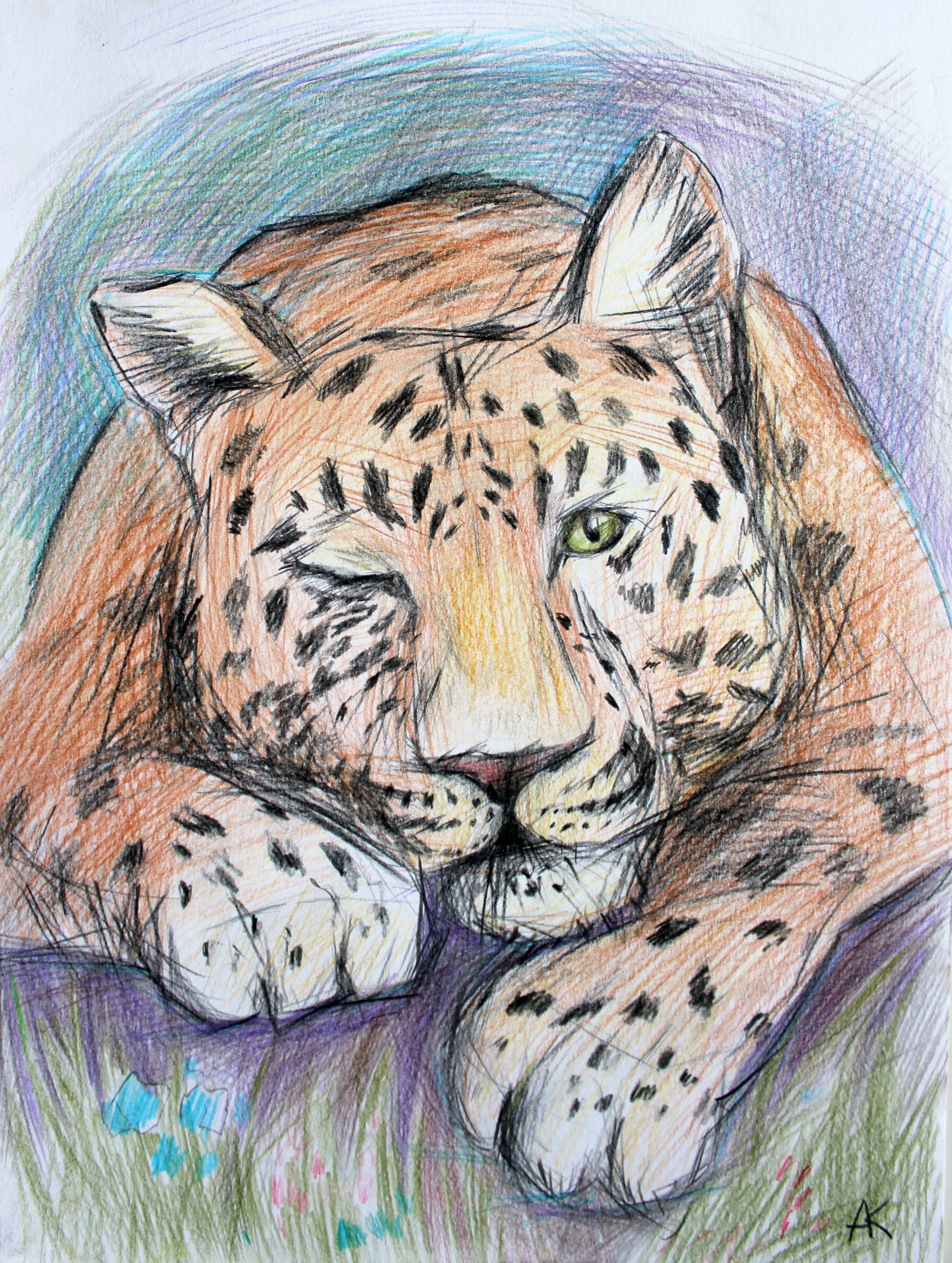 Леопард цветным карандашом