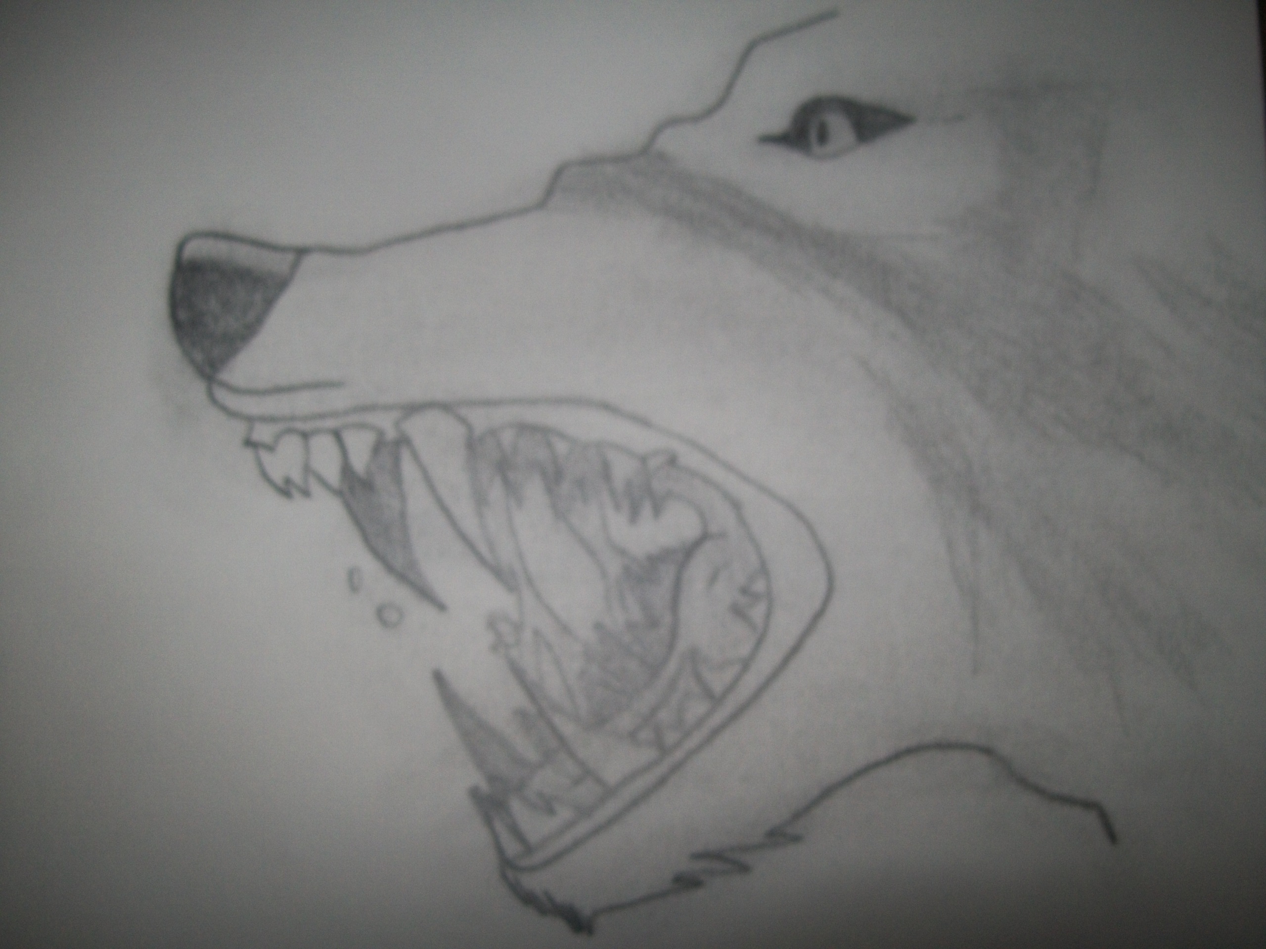 Рисовать волка в наушниках