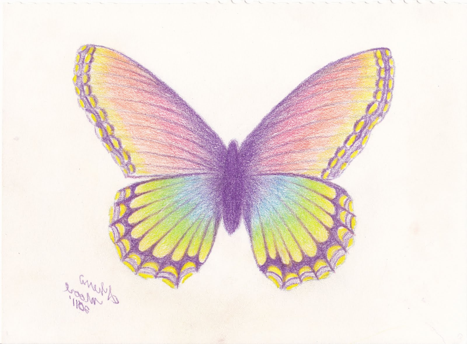 Бабочка цветными карандашами