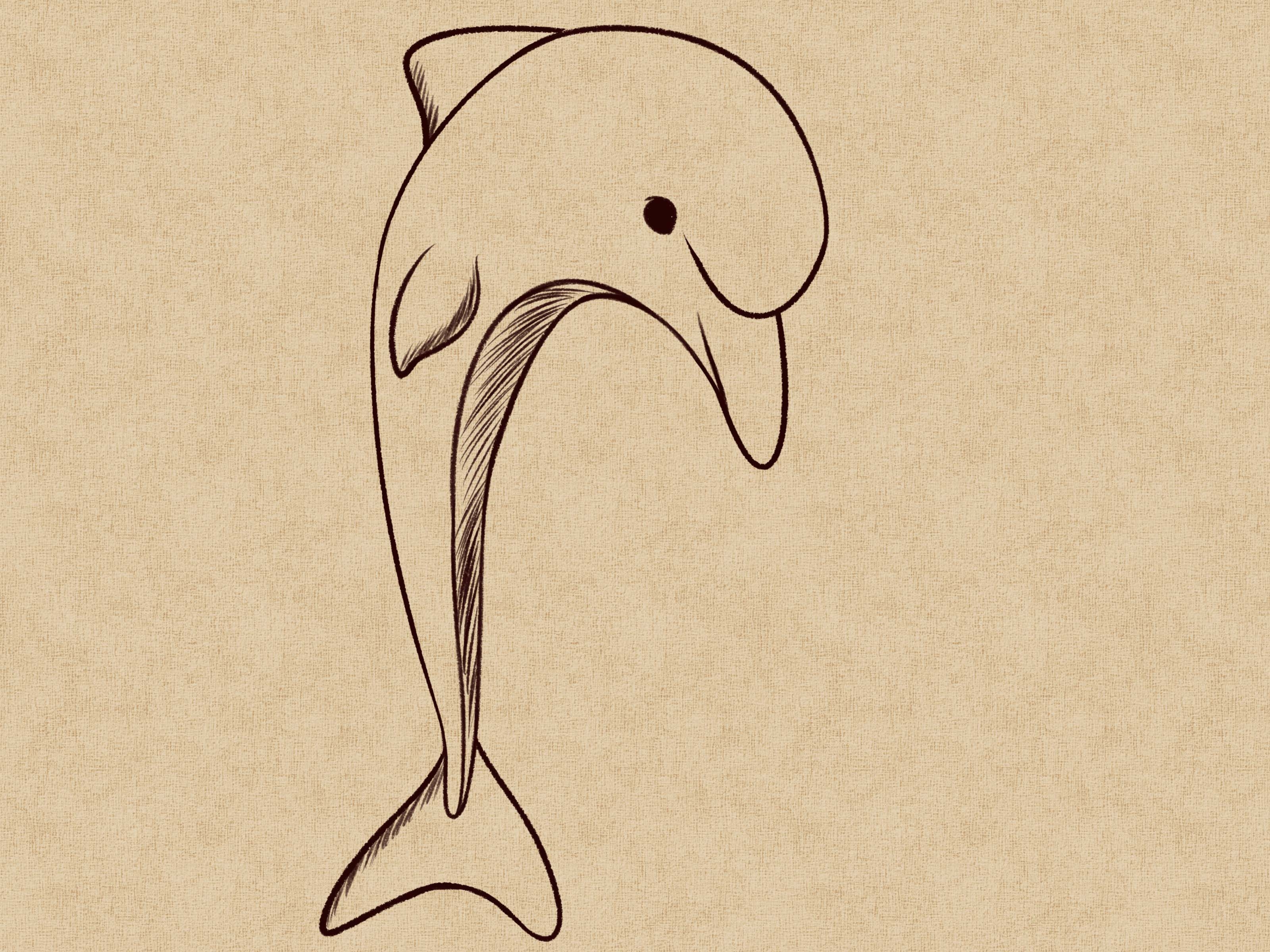 Срисовка дельфина карандашом