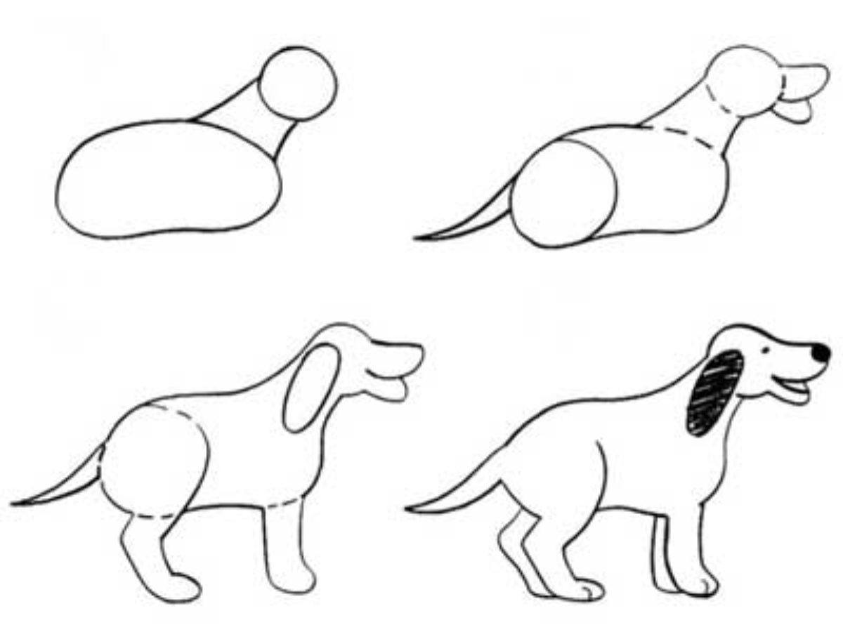 Схема рисования собаки для детей подготовительной группы