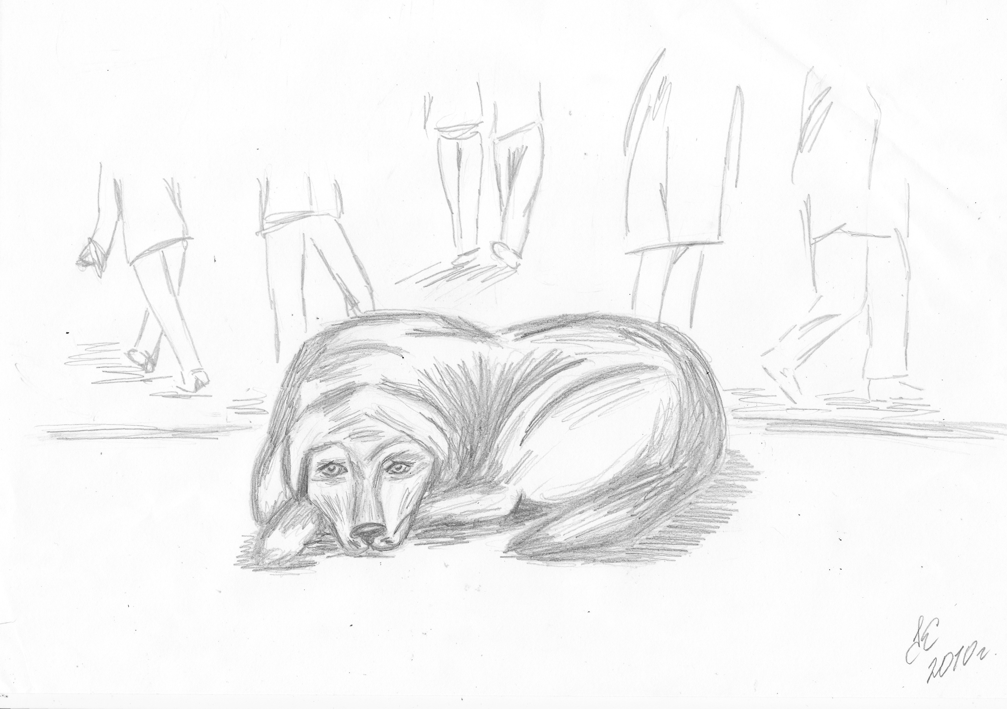 Рисунки бездомных животных