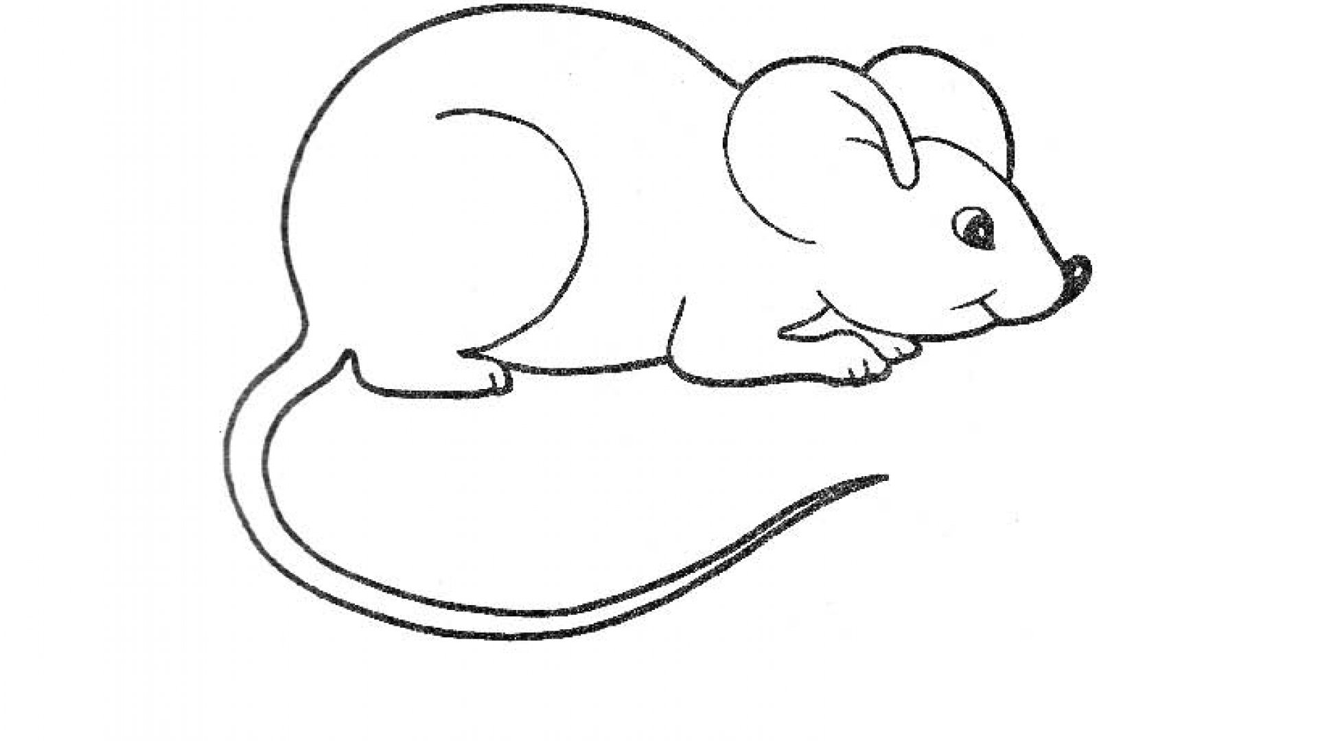 Мышка рисунок для детей карандашом