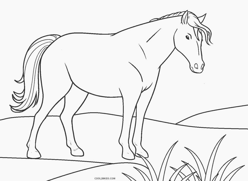 Рисунки лошадки легкие