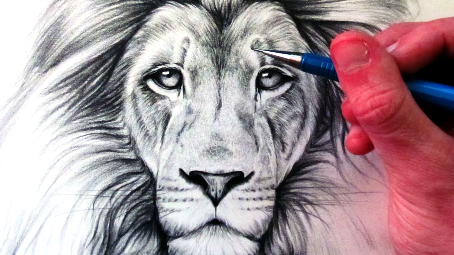 Красивые рисунки Льва карандашом