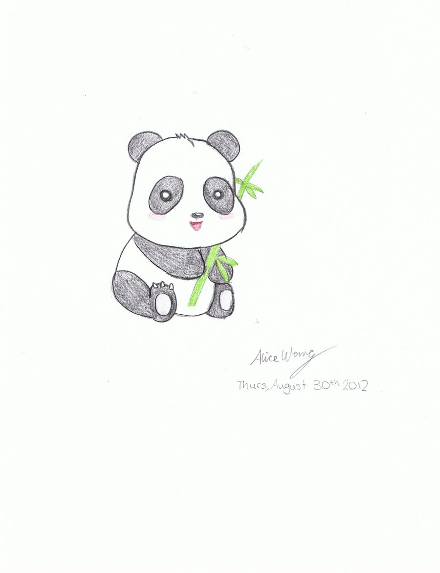 Панда рисунок карандашом для срисовки