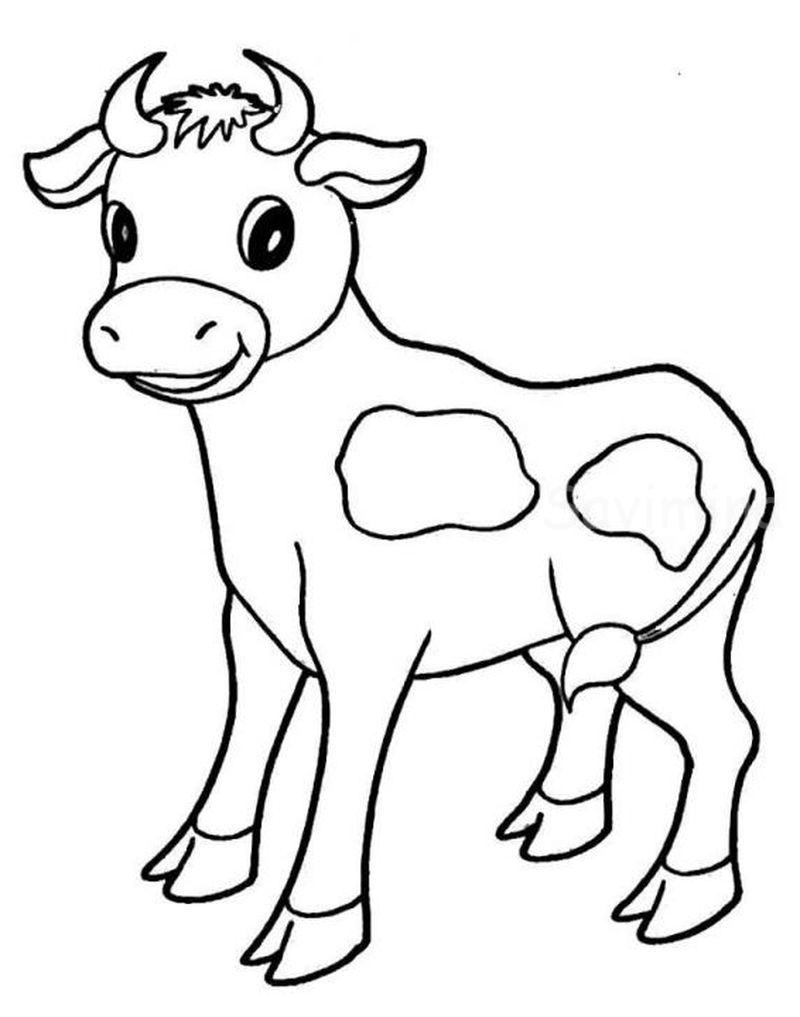 Раскраска корова с теленком для детей