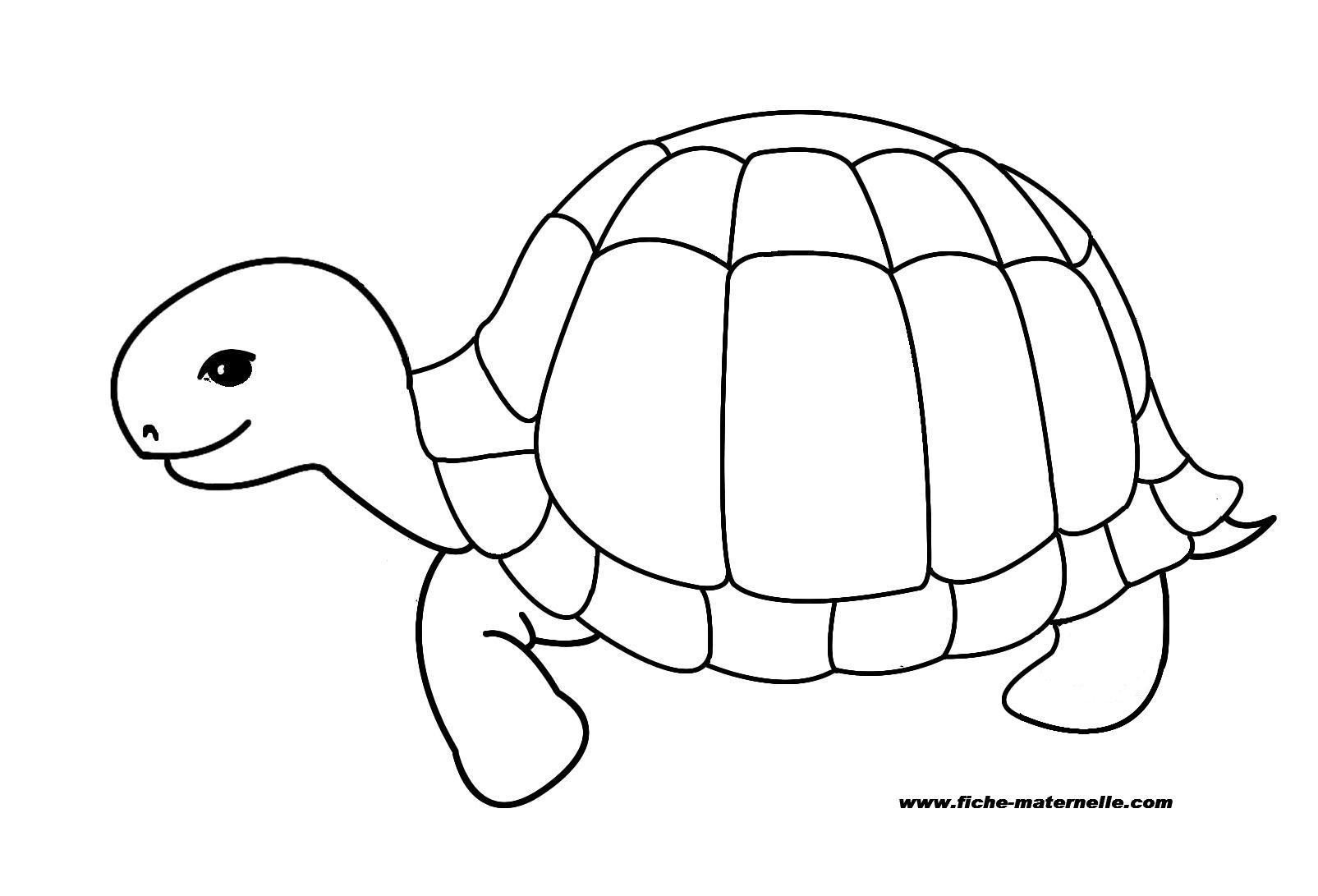 Раскраска черепаха для детей 5-6 лет