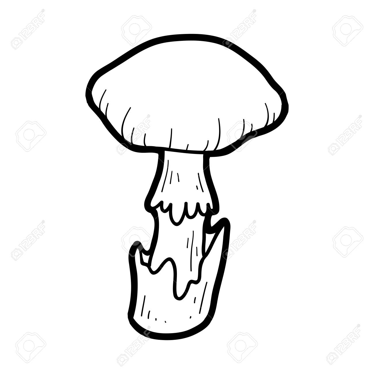 Ядовитые грибы черно белый