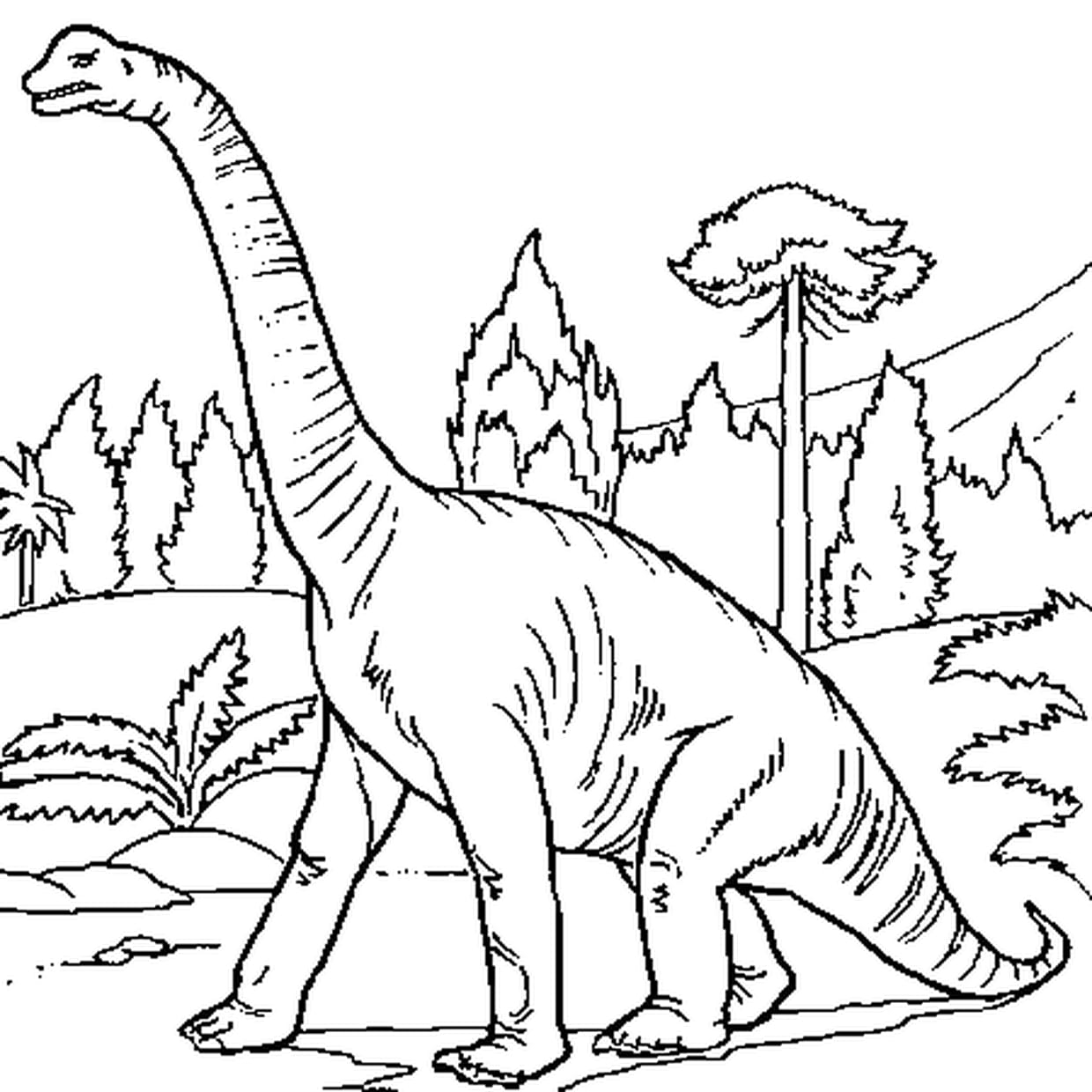 Брахиозавр раскраска