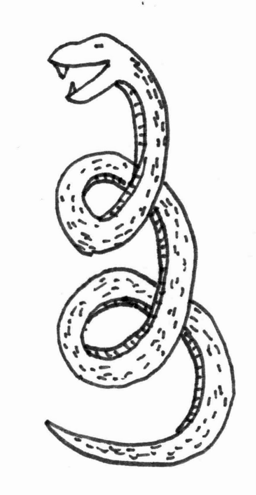 Рисунок змеи простым карандашом