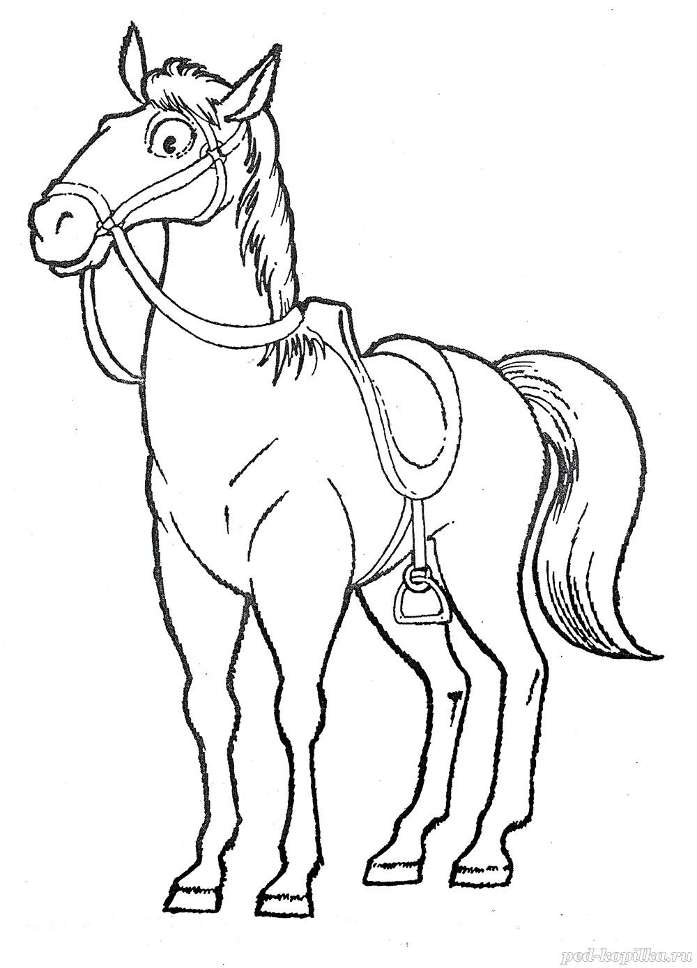 Лошадь Юлий раскраска