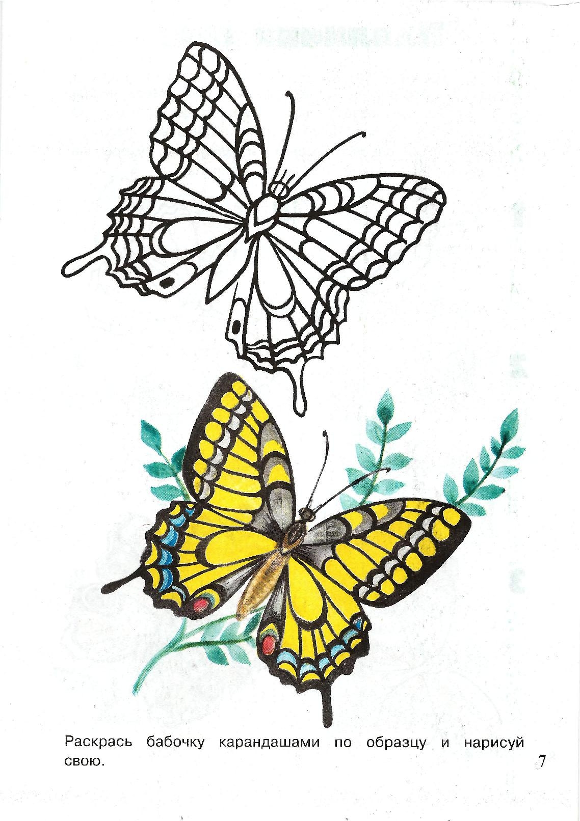 Разукрасить бабочку карандашом