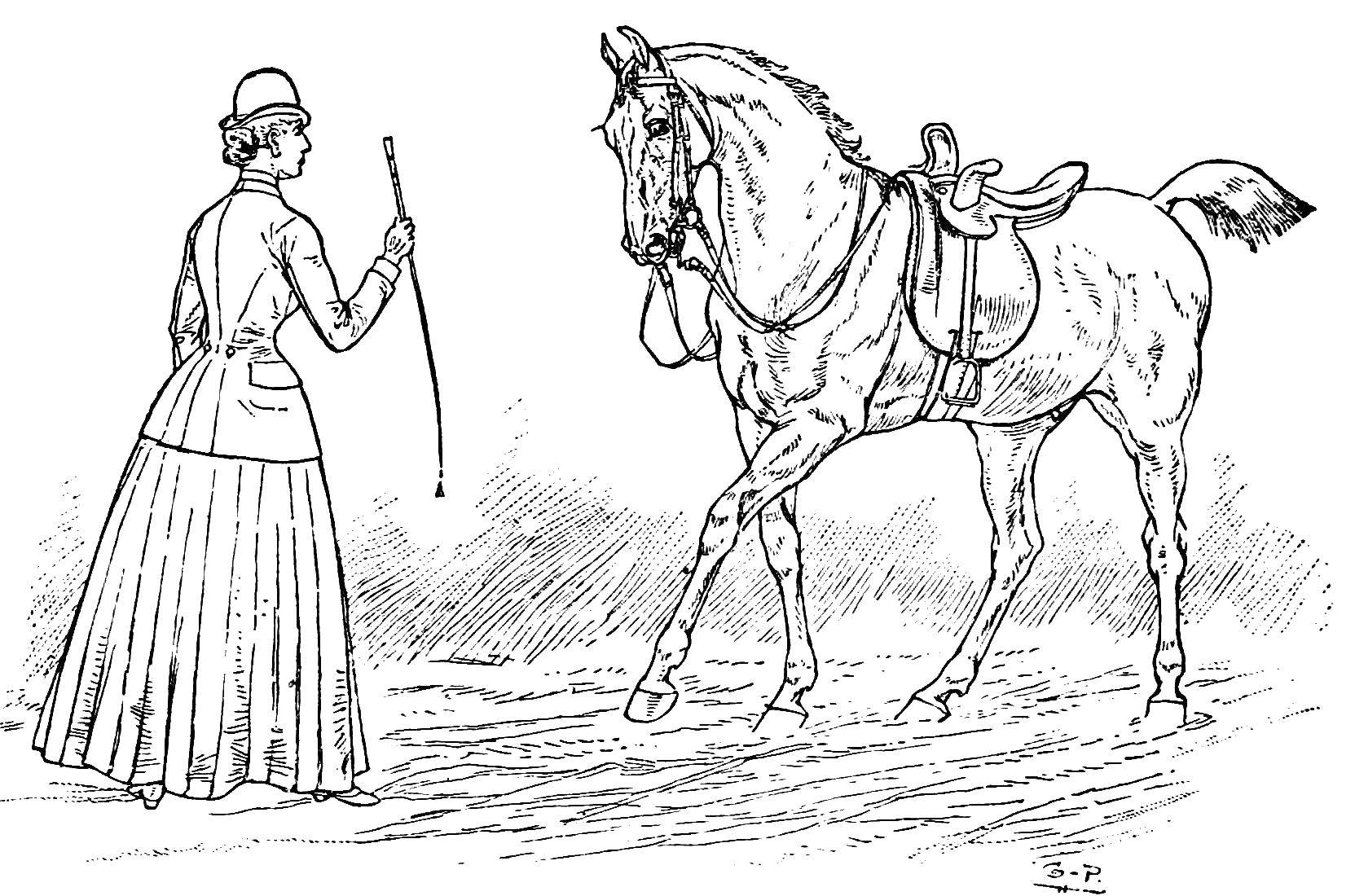 Раскраска наездница на лошади