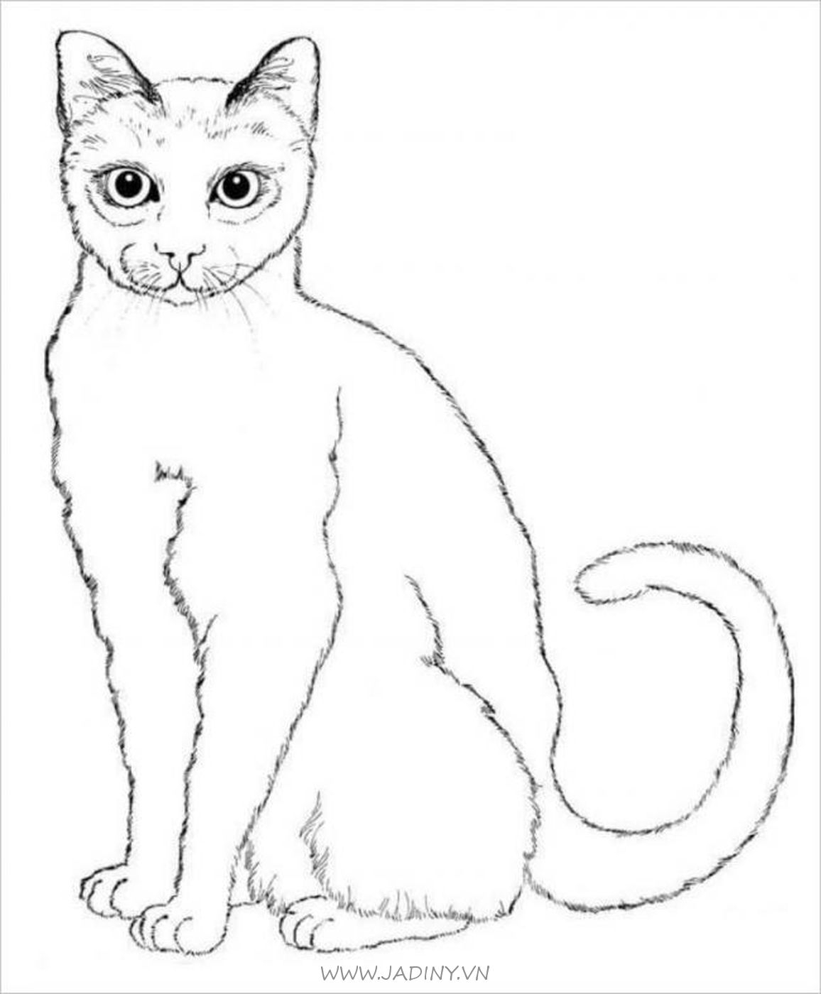 Сиамская кошка раскраска