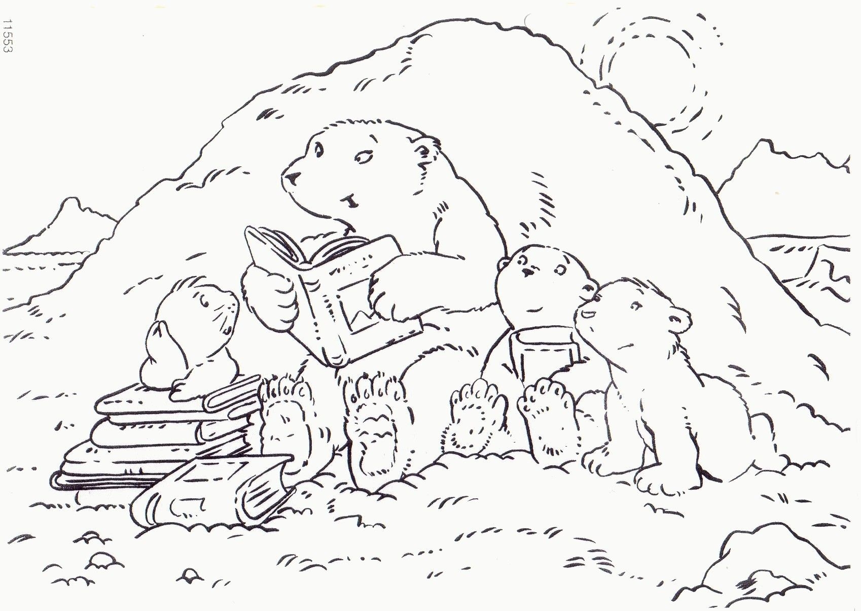 Северный медведь раскраска для детей