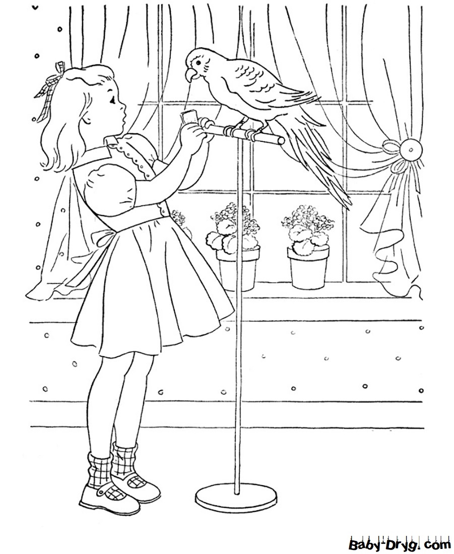 Раскраска для девочек попугай
