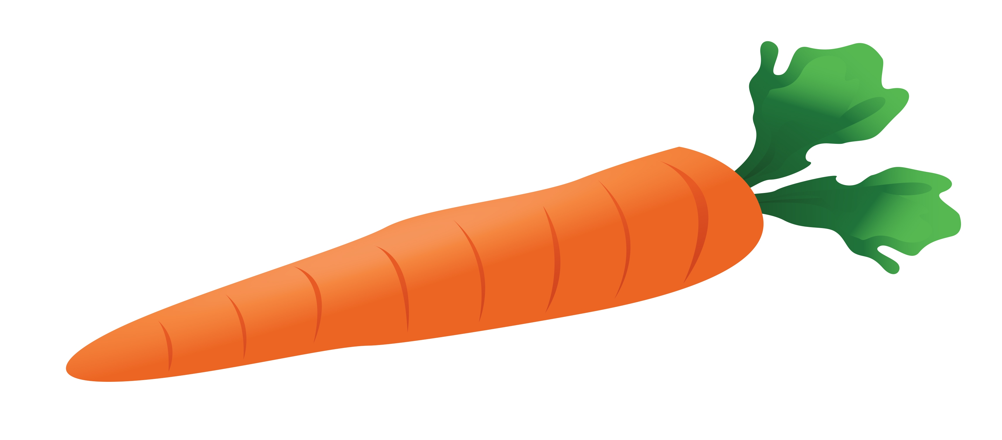 Морковки для снеговиков маленькие