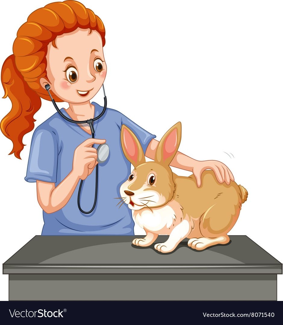 Ветеринар иллюстрации для детей