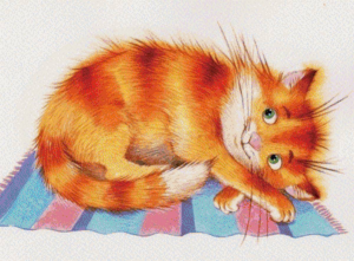 Котик на полосатом коврике