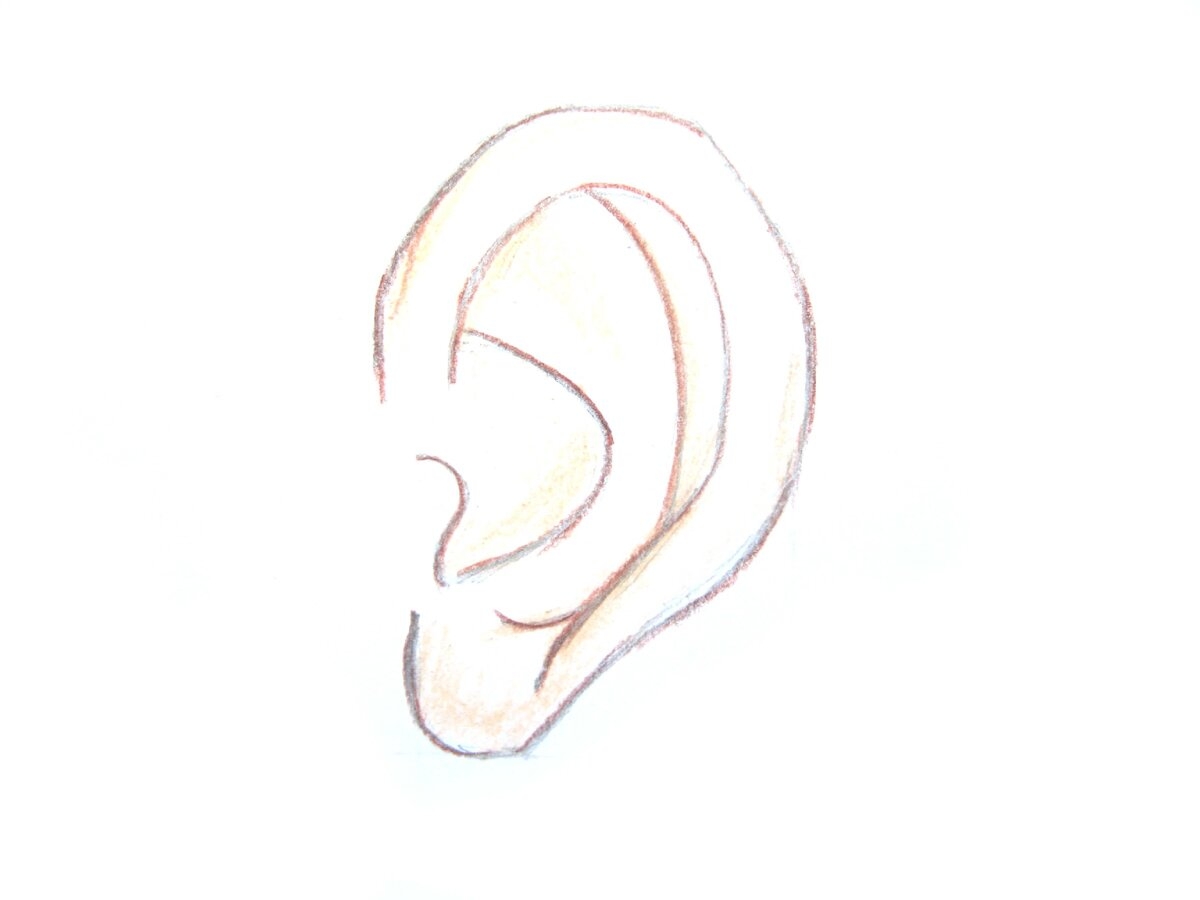 Как нарисовать ухо легко