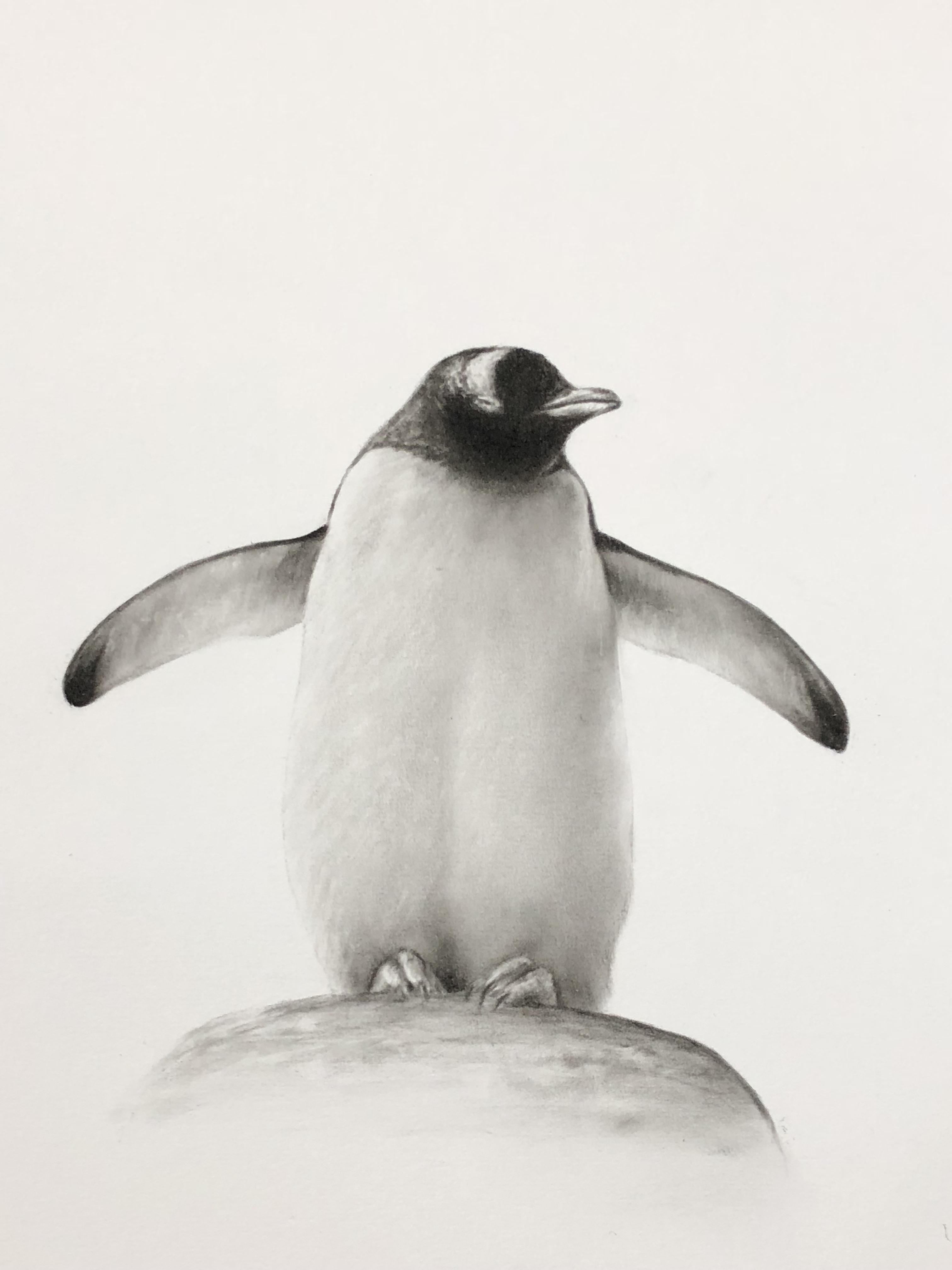 Набросок пингвина