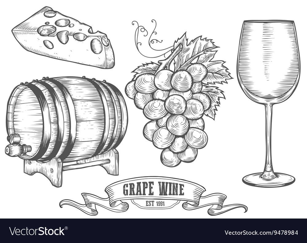Вино виноград вектор