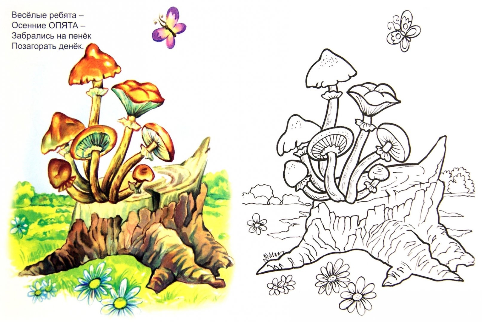 Раскраска пенек с грибами для детей