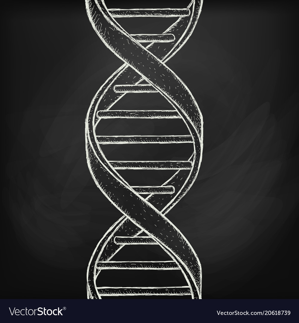 ДНК вектор