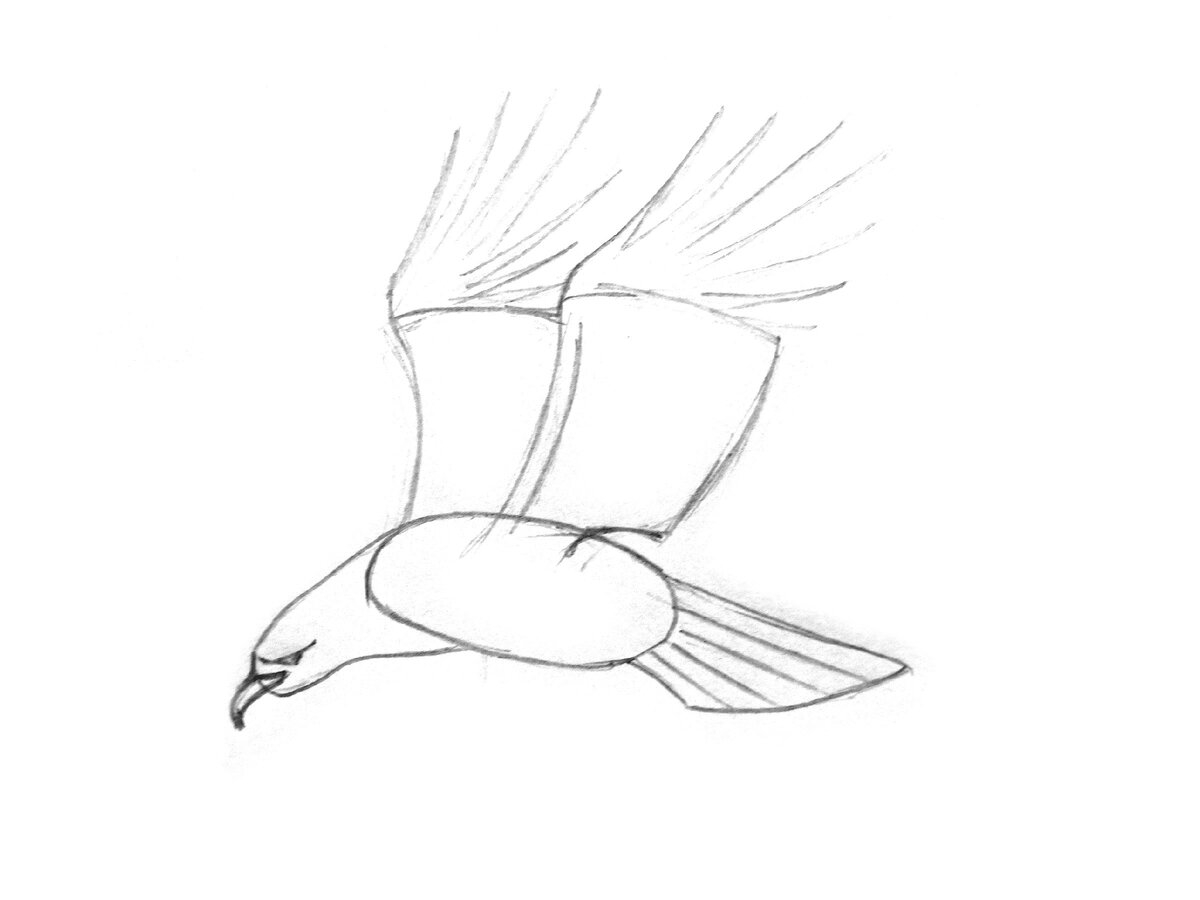 Орел рисунок пошагово