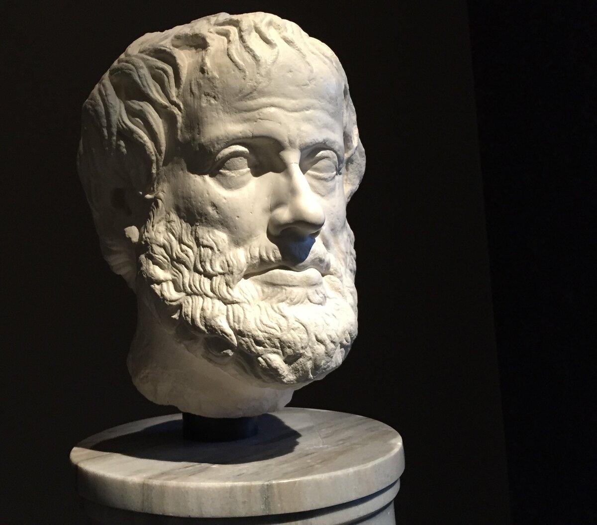 Аристотель (384 – 322 г.г. до н. э.)