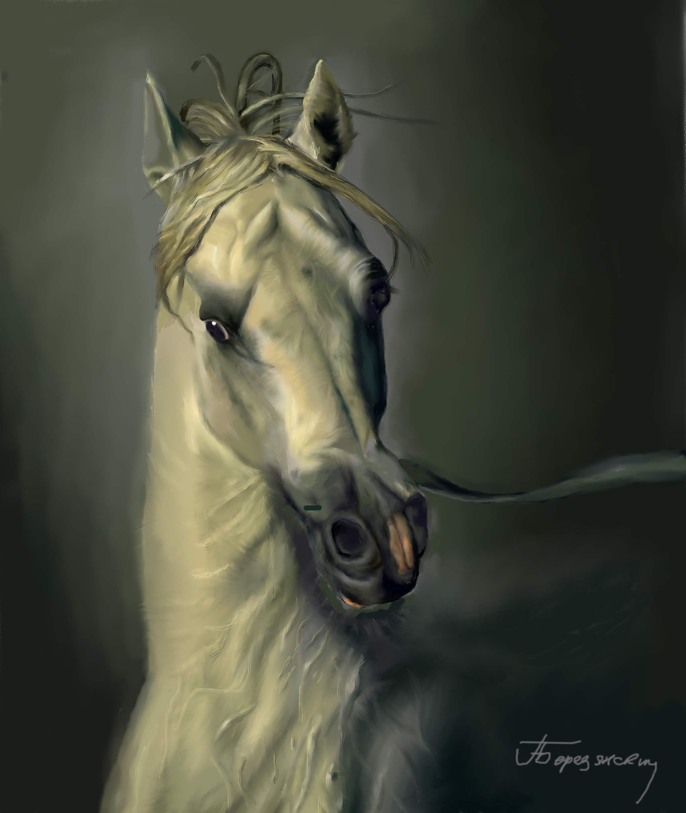 Войтек Квятковский фото лошадей