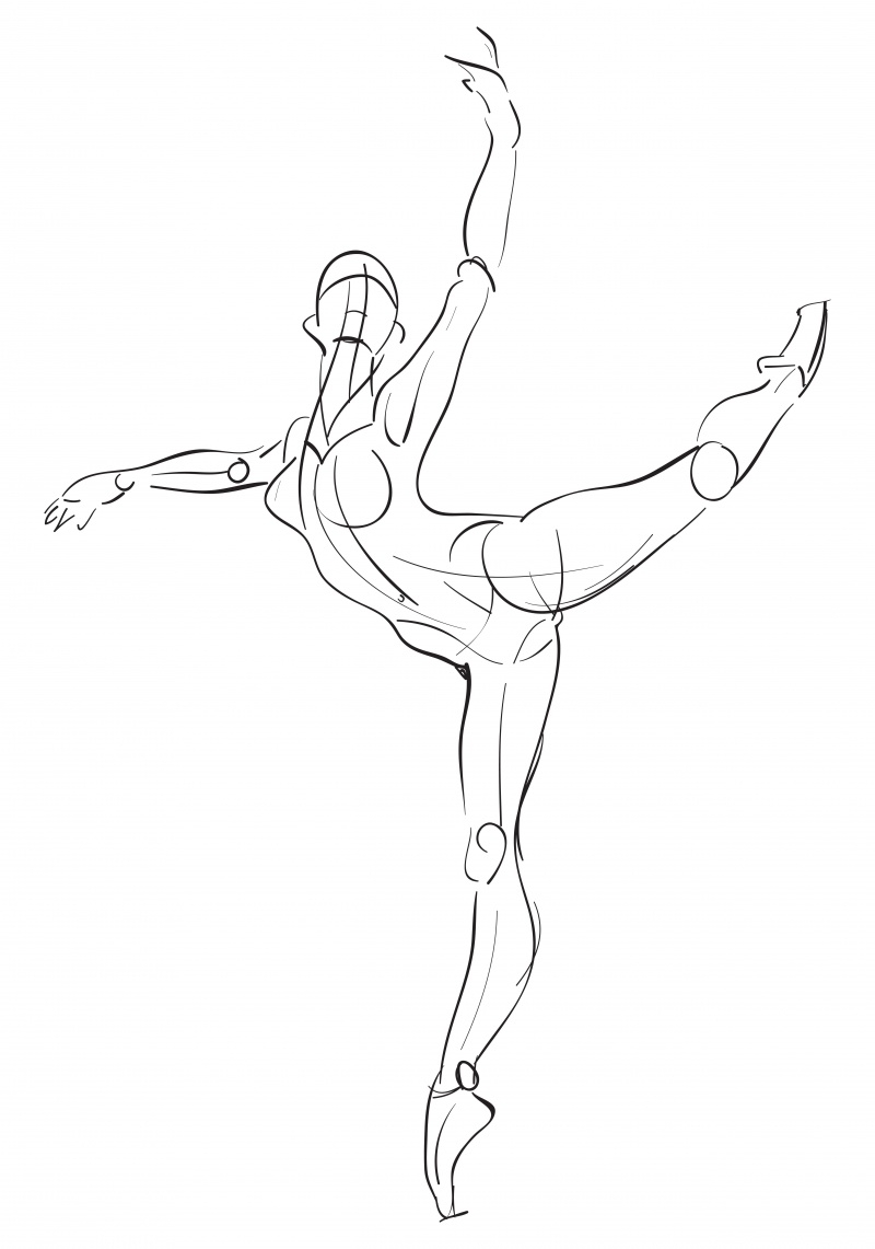Балерина анатомия