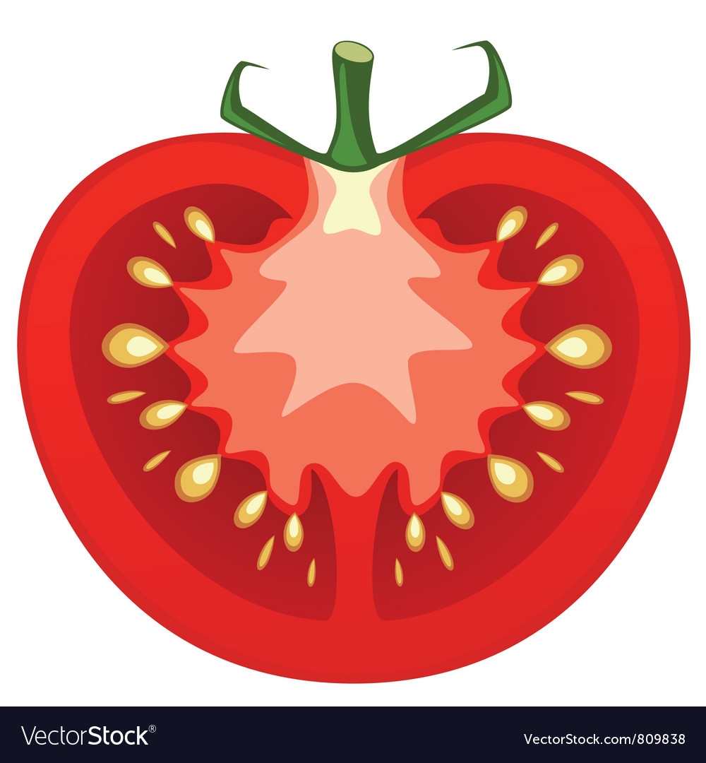 Нарисованный помидор в разрезе