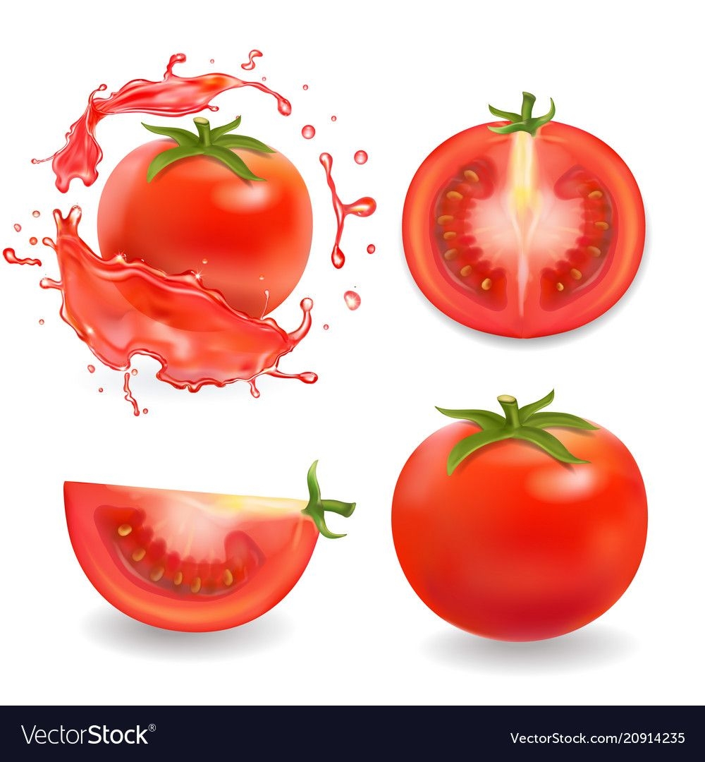 Нарисованный помидор в разрезе