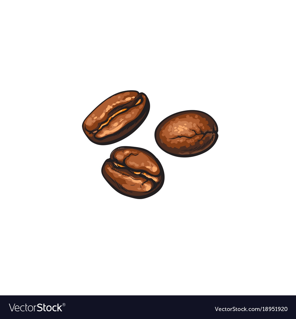 Зерна кофе скетч