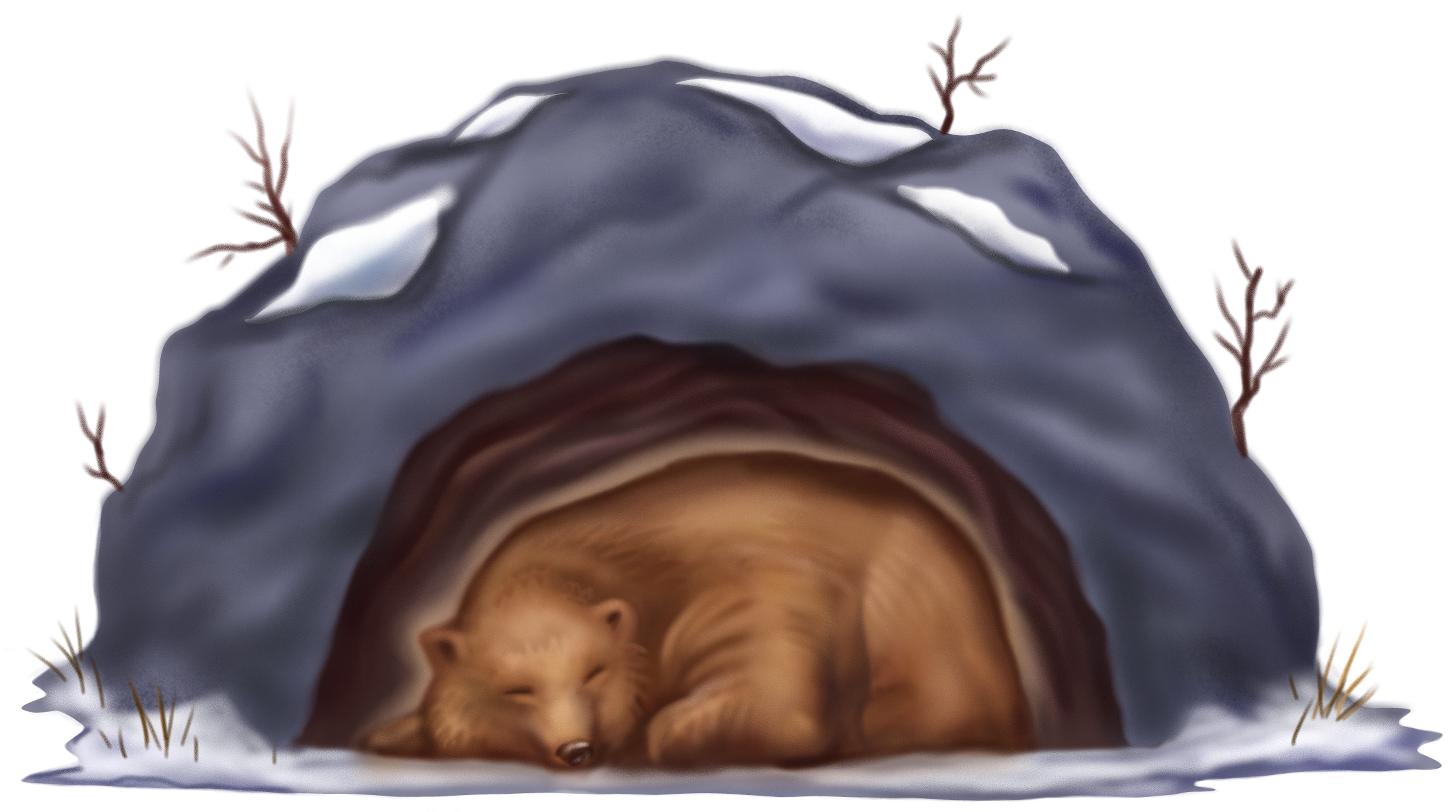 Медведь в берлоге лиса в норе