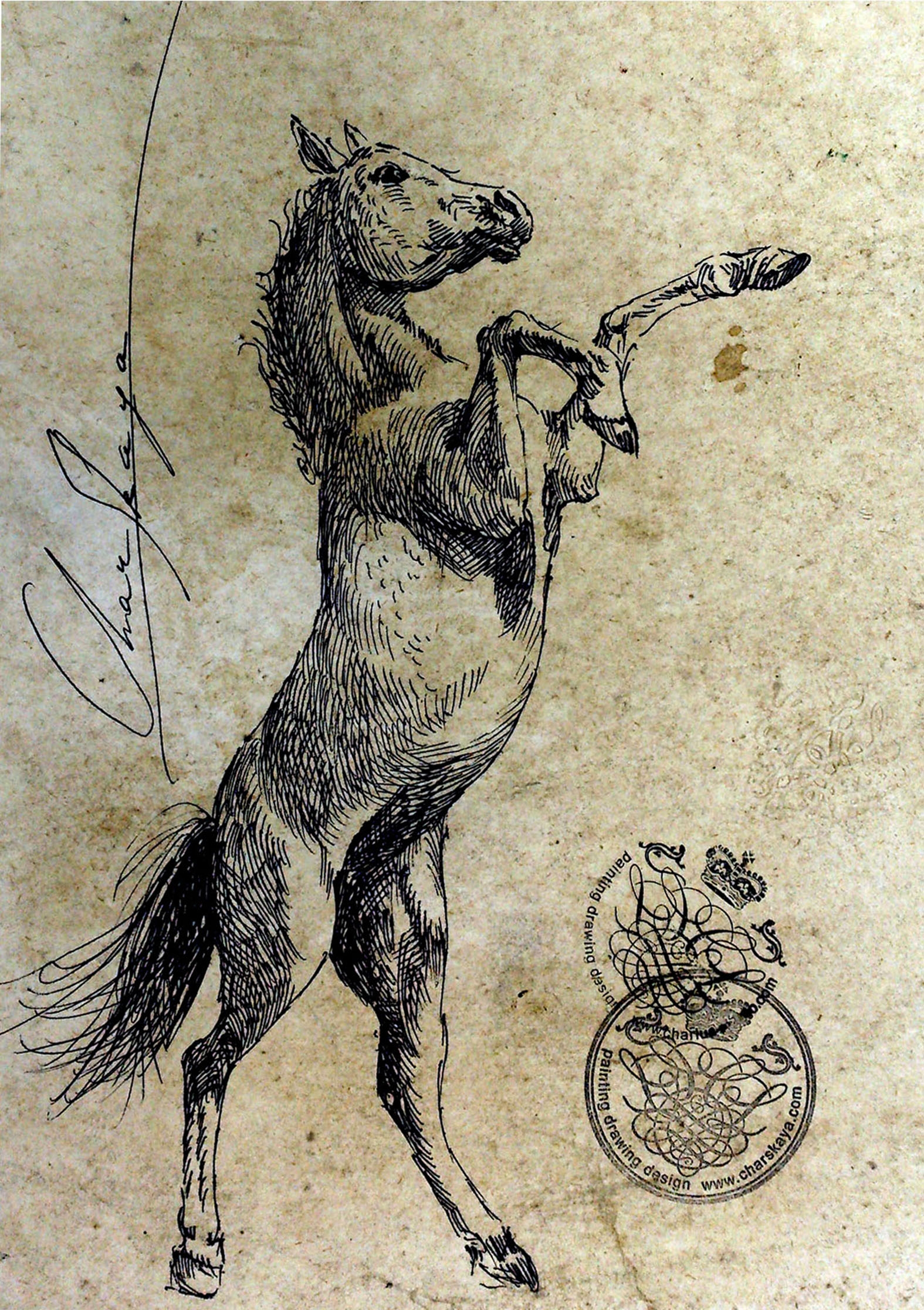 Лошадь на дыбах рисунок