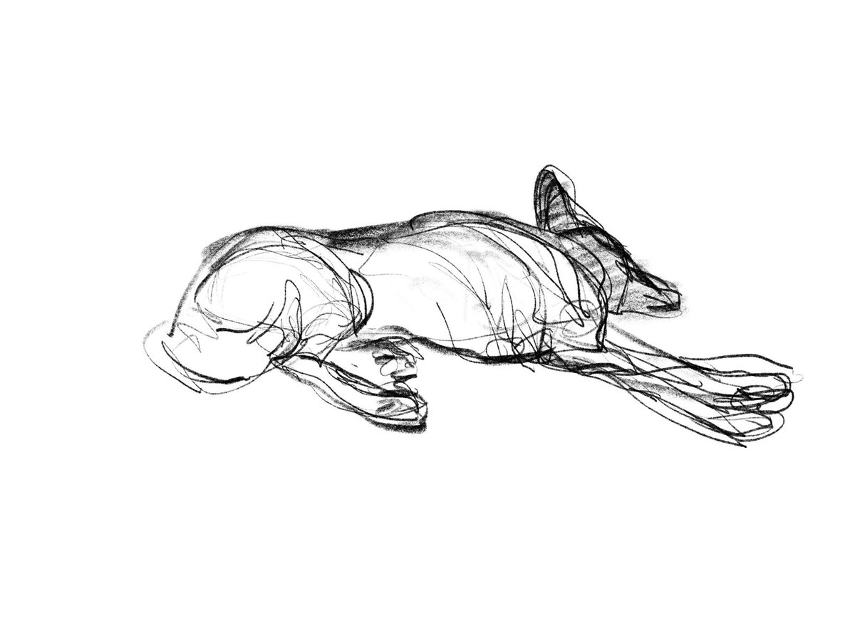 Лежачая собака рисунок