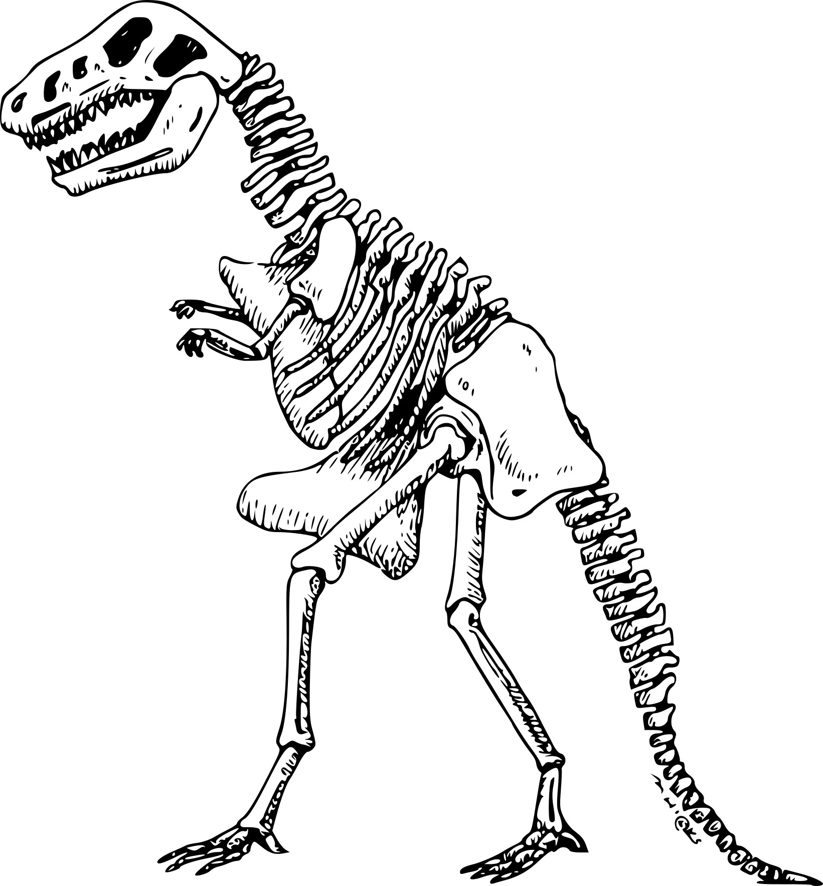 Кости динозавров для детей