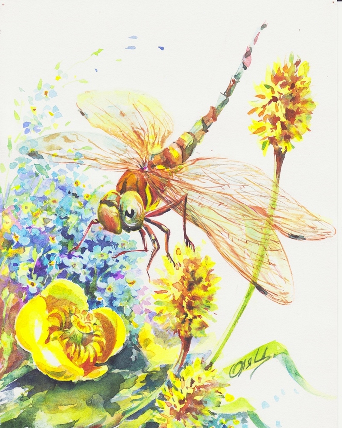 Цветы и насекомые акварелью