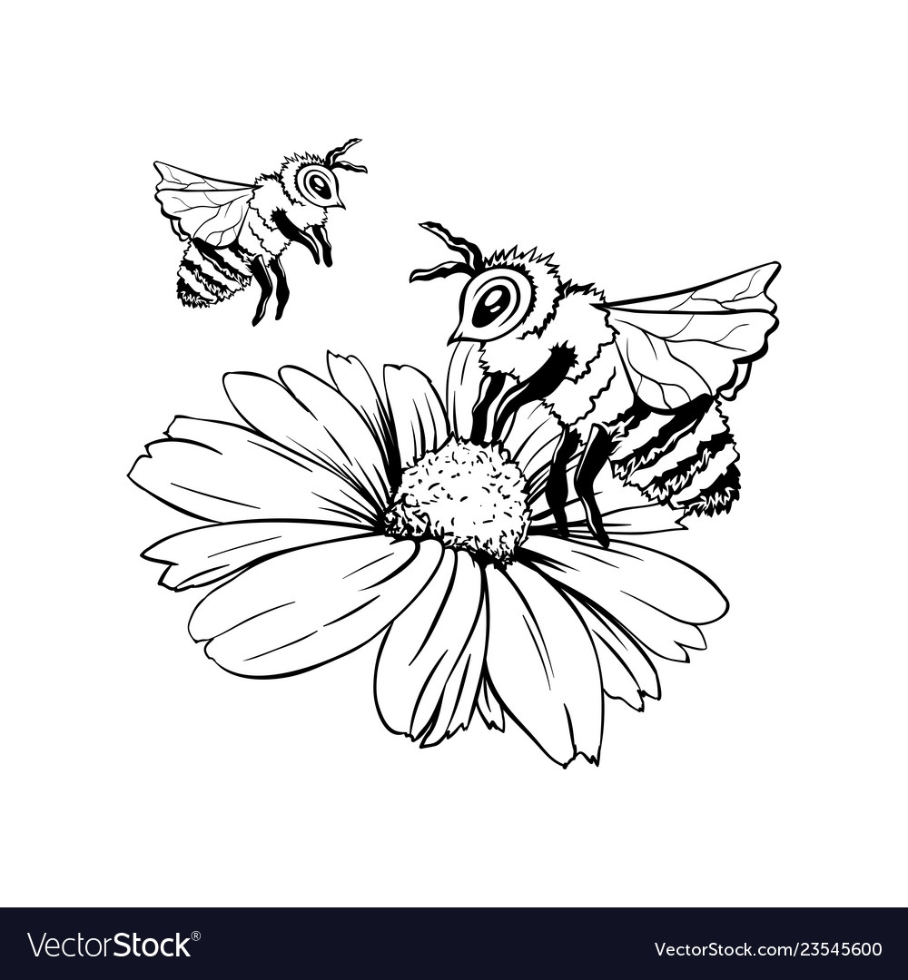 Пчела на цветке