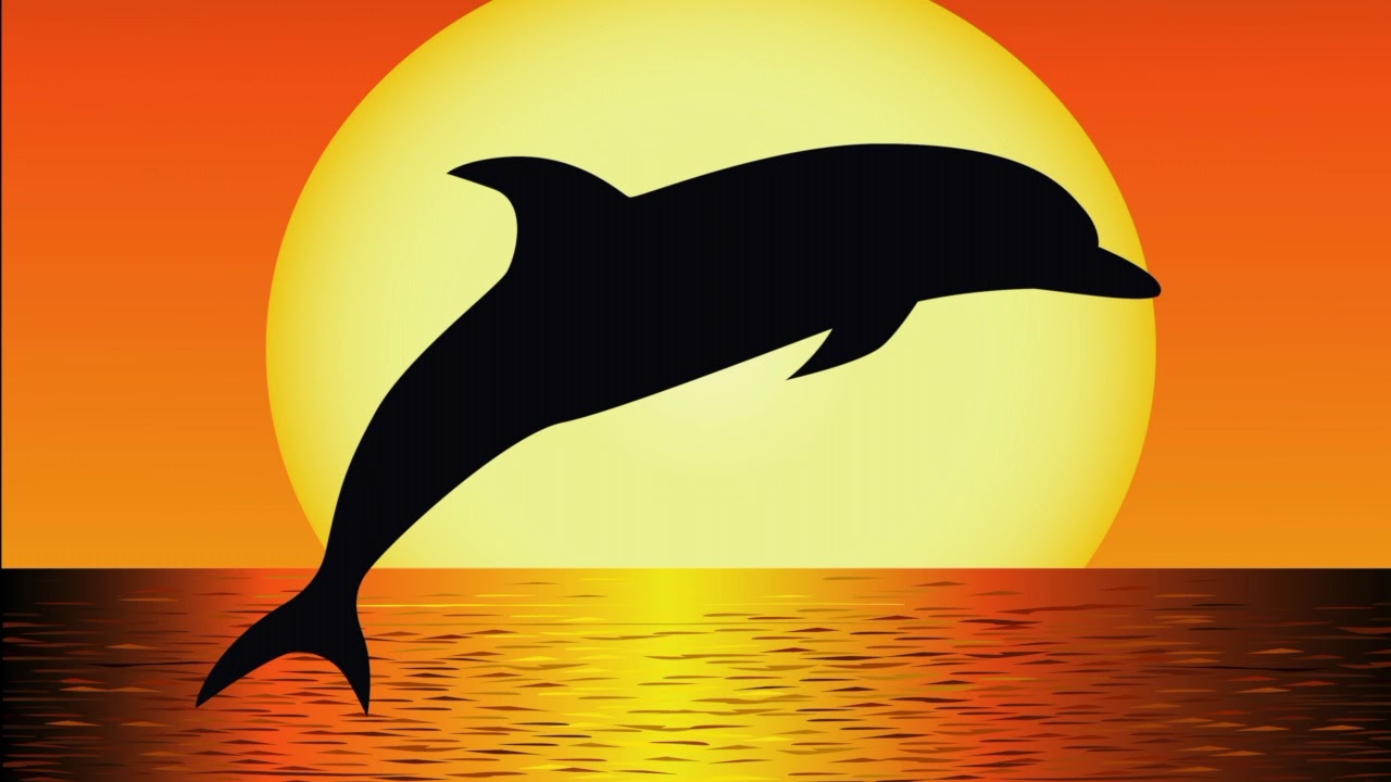 Силуэт дельфинов на закате